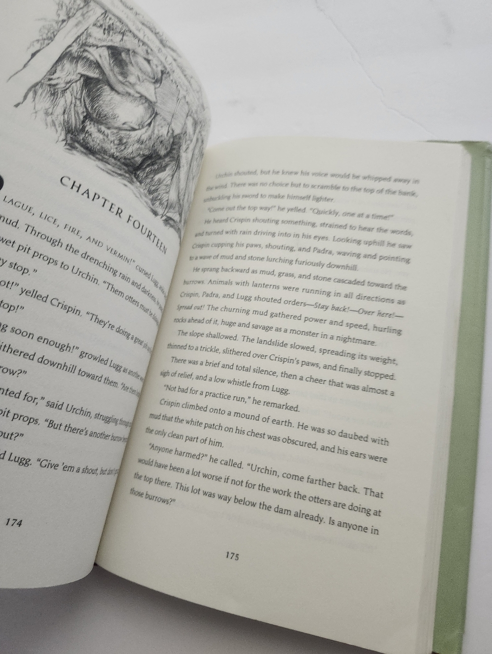 Book - Picture 8 of 11